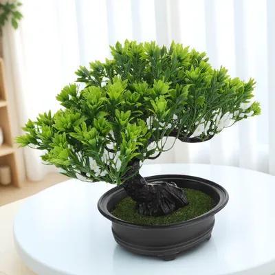 Faux Bonsai Pine Tree Artifici - Home Office Guest Room 评论和价格